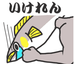 10004007