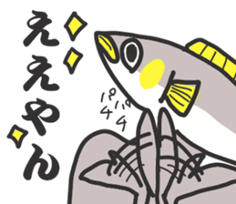 10004014