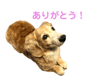 100124132