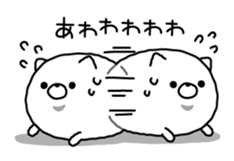 10016206