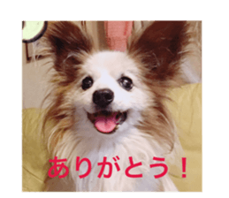 100255199