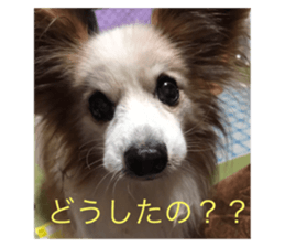 100255200