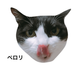 100406833
