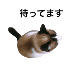 100406857