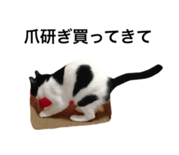 100406861