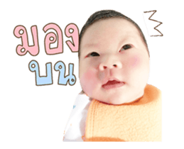100413175