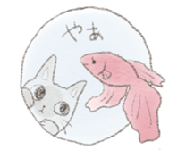 10043503