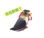 100486801