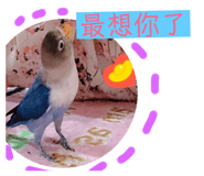 100486804