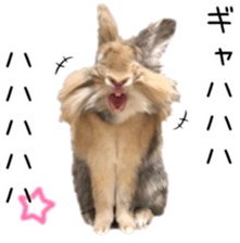 100496100