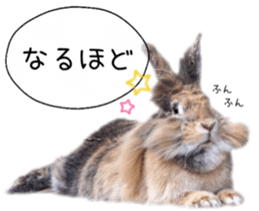 100496115