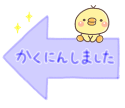 10050909