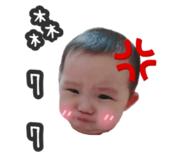 100523026