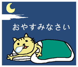 100618764