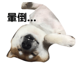 100684326