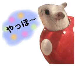 100707774