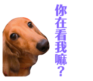 100775414