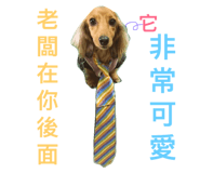 100775416