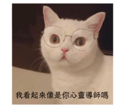 100790660