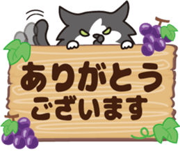 101048056