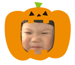 101105578