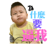 101202454