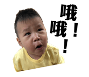 101202461