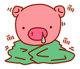 10126762