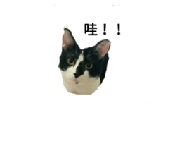 101369753