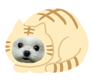 101370550