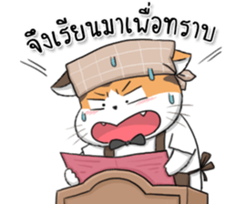 10150520