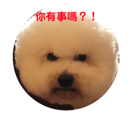 101550680