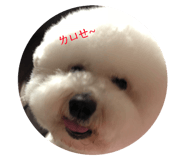 101550689