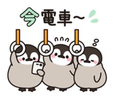 10207037