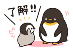 10207043