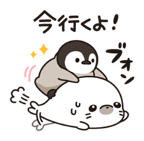 10207048