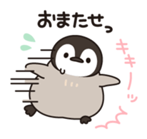 10207051