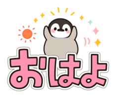 10207070