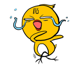 1020713