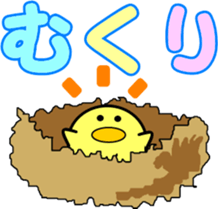10211072