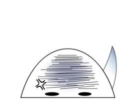 10214146
