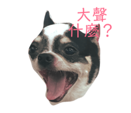 102142366