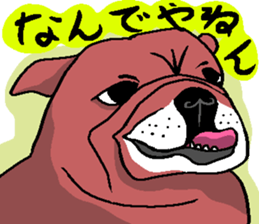 10220118