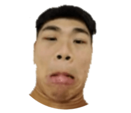 102246931