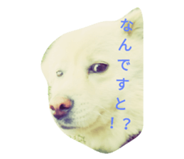 102251111
