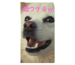 102251112