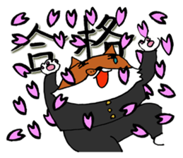 10225878
