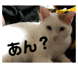 102276084