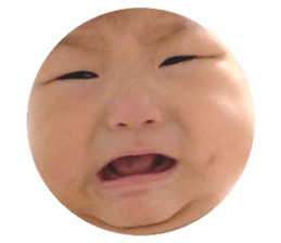 102541695