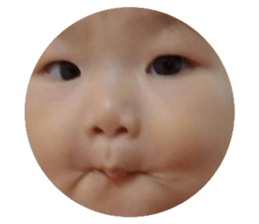 102541697